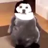 obesepenguindude