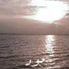 butabohaaaaaaa