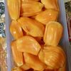nangka864
