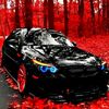 rayan.rayan260