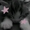 iloosha_