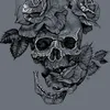 skeleton4046