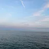 username253001
