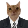 buhoalvino