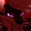 zypher_the_wolf