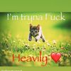 souljah744