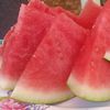 hasbol_66