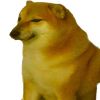 dogge024