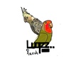 luqzz_parrot