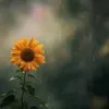 ngchuynhunh88