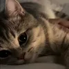love_bunny54