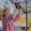 ngodong1993
