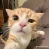 lego_mai_dinh