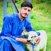 imranwafa61
