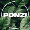 ponzi_667