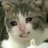 mitcute880
