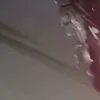hdudjjdhdhhh2772