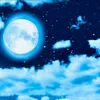 moon617276