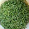 hasinahasina50152927