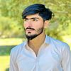 alijafri3135