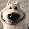 hieu.hieu.gia