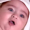 muhammad.raja0124