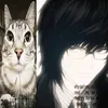 tripalofki_