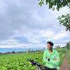 harismansopandi