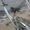 zzfa206