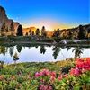 marwan.mohammed6456