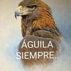luis.braulio.guil