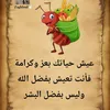 fatimhd175