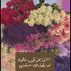 nona129583