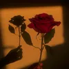 f_s13.02