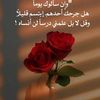 user6268472219266