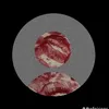 05_lamiae