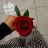 _dounia__ch_
