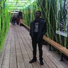 djfowles