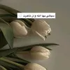 ali408839