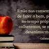 user829005607