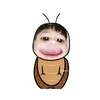 vanh2512