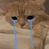 nghiasvd