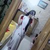 jumu808
