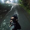 raditya.arauca