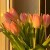 2thg2🐾🌷