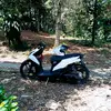 aboyrdr