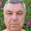 mangol910