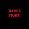 BAPE5 FIGHT
