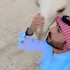 bmmb55