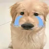 ur_nikij